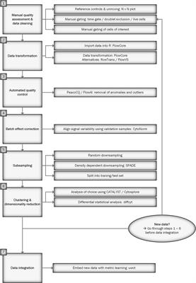 How to Prepare Spectral Flow Cytometry Datasets for High Dimensional Data Analysis: A Practical Workflow